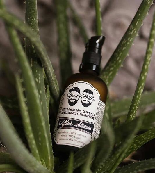 Losjonas po skutimosi Steve & Phills