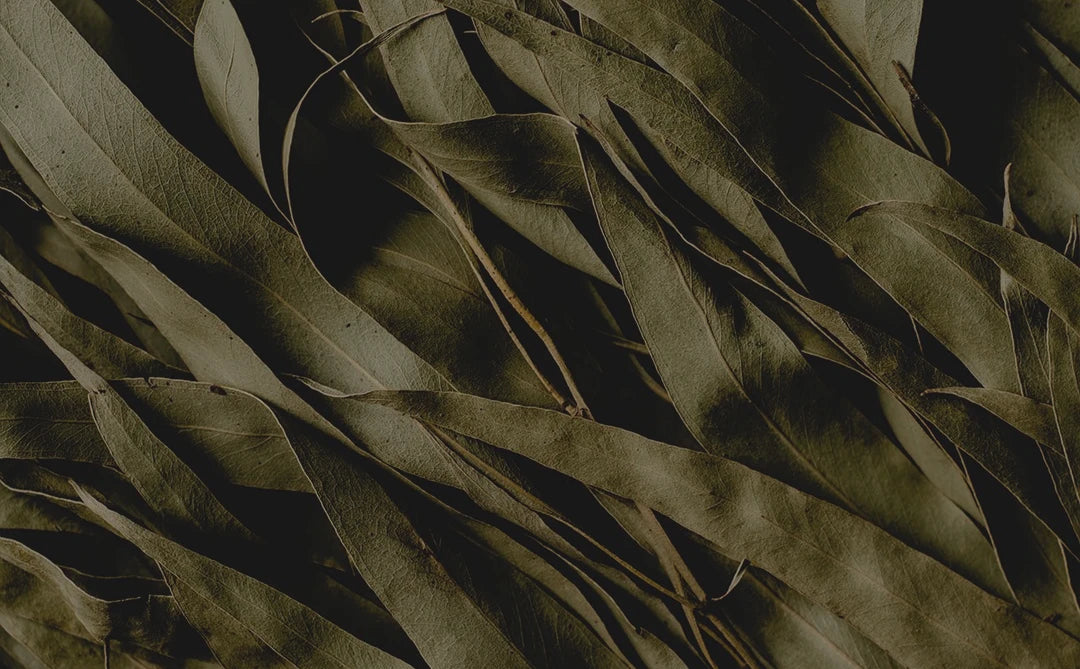 Natūrali kosmetika vyrams: barzdos aliejai, šampūnai ir veido kremai CAVE.lt parduotuvėje